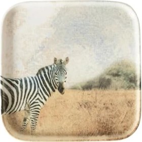 Resim Mcreative Concept Wild Kare Tabak Seti 22 cm 6'lı 