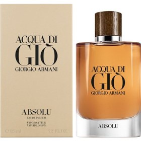 Resim Gıorgıo Armanı Aqua Dı Gıo Absolu Men 100 ML 