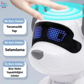 Resim Brother Toys Uzaktan Kumandalı Akrobat Köpek Akıllı Interaktif Öğretici Oyuncak Şarjlı Robot 