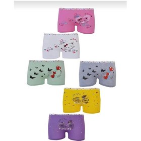 Resim Tutku 0181 Kız Çocuk Desenli Boxer 6 Adet 001 