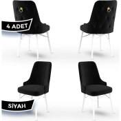 Resim Canisa Concept Pare Serisi, Sandalye, 4 Adet Sandalye, Beyaz Gürgen Ayak 