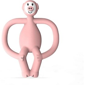 Resim Matchstick Monkey Silikon Diş Kaşıyıcı / Pickle Pig 