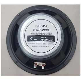 Resim 20 CM 4Ohm 300 Watt Plastik Hoparlör-1 Adet 