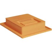 Resim Ana Arı Ye MLik - Arıcılık 