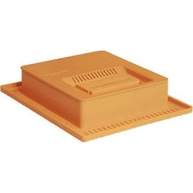 Resim Ana Arı Ye MLik - Arıcılık 