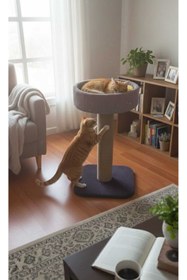 Resim FeyzaDesign Yumuşak ve konforlu kedi tırmalama yuvası, eğlenceli ve şık tasarım 