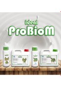 Resim Probiom Liquid 1 Lt 