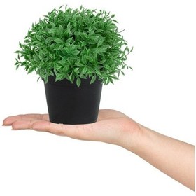 Resim Mini Siyah Plastik Saksıda Yapay Fesleğen Çiçeği 