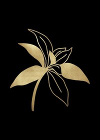 Resim Harika bir ev |gold-siyah Çiçek Kombini 03|pleksi Çerçeveli Mdf Tablo 3dky 