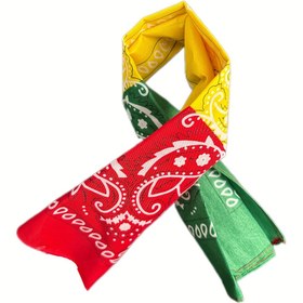 Resim Vibrant Paisley & Floral Hip-Hop Dans Stili Bandana - Erkekler ve Kadınlar için Çok Yönlü Açık Kare Eşarp, Kırmızı ve Yeşil Altın Detaylarla, Elde Yıkanabilir, Dans Aksesuarı | Cesur Desen | Dokuma Tekstür 