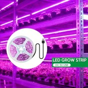 Resim Tam Spektrumlu LED Bitki Işığı Şeridi - Pembe Mor, USB Güçlü 5V Ayarlanabilir Parlaklıkta Sukulentler, Hidroponik ve Sera İçin Ev Bahçesi Aydınlatması - Sağlıklı Büyümeyi Teşvik Eden, Enerji Verimli, Şık Tasarım, Dayanıklı Yapılı Hidroponik Yetiştiriciler için İç Mekan Bitki Işıkları 