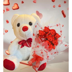 Resim Sole Sevimli 35 cm Peluş Ayı ile Premium Yumoş Kırmızı Peluş Ayıcık Buketi 
