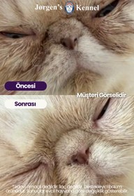 Resim Kedi Göz ve Gözyaşı Lekesi Temizleme Bakım Solüsyonu Çapak Göz Çevresi Akıntı 100ml 
