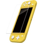 Resim Nintendo Switch Lite Cam Ekran Koruyucu Film 