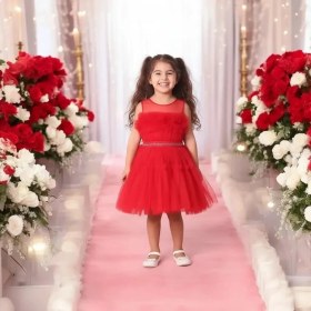 Resim Ahsenim Bebe Göğüs Fırfırlı Kız Çocuk Abiye Elbise 5-10 Yaş 