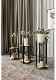 Resim 3'lü Kare Çiçeklik Saksılık Meşe Meşe 