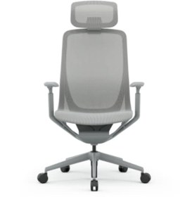 Resim Rapido Aria Başlıklı Yönetici Koltuğu Açık Gri 