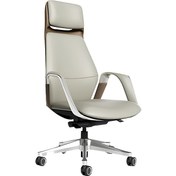 Resim Hunt Mobilya Nuna Krem Deri Ofis Yönetici Koltuğu 