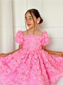 Resim H L Y Karol Tasarım Pembe Güllü Diana Vintage Kız Bebek Elbise,doğum Günü Elbise,fotoğraf Çekim Elbise,0-12 Yaş Uygun Pembe 