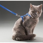 Resim Kedi Boyun ve Göğüs Tasması 
