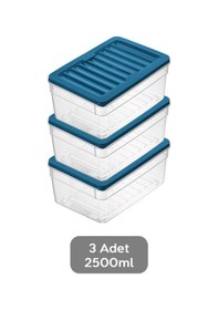 Resim 3'lü Derin Buzdolabı Organizer Set Düzenleyici Saklama Kabı Mikrodalga Difriz Kabı 2500 ML Mavi 