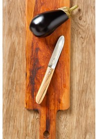 Resim Patlıcan Oyacağı Dolmalık Biber Kabak Oyacak Paslanmaz Çelik Sebze Oyacağı 