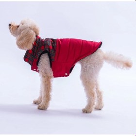 Resim Pawstar Kırmızı Elgin Paws Su İtici Küçük Irk Köpek Puf Yelek Yağmurluk 