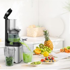 Resim Yasomi Fruitforce 8 Segment 180W Katı Meyve Ve Sebze Sıkacağı 