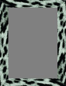 Resim Siyah Leopar Çerçeveli Gri Halı Dekhera T1046 - 80X150 / Deri Taban 