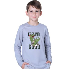 Resim Fyk Kids Erkek Çocuk Dinozor Baskılı Yuvarlak Yaka Sweatshirt Gri 