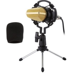 Resim BM-700 USB Profesyonel Condenser Mikrofon Seti 