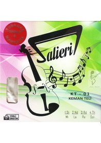 Resim Salieri Kt-01 Keman Teli - Set 