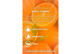 Resim Auran Citrus Soleia Kadın Vücut Spreyi 150ml Ferahlatıcı Portakal Koku Deneyimi 