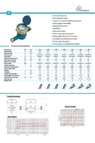 Resim TEKSAN Dn 32 1 260mm Soğuk Su Sayacı Pulse Çıkış 