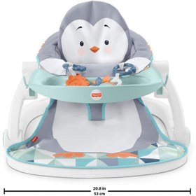 Resim Fisher Price Tepsili Ana Kucağı 