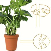 Resim 1/2 adet Altın Paslanmaz Çelik Bitki Şekilli Destek Halkaları, Monstera ve Bambu için Uygun - İç ve Dış Mekan Bitkileri için Metal Alaşımlı Yaprak Bitki Direkleri, Tırmanan Sarmal 
