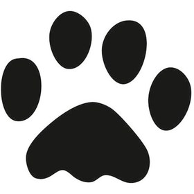 Resim Pati İzi Folyo Sticker 200cm Uzunluk Siyah 