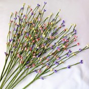 Resim 10 Adet Bahar Meyvesi Yapay Çiçekler - Mor, Pembe, Sarı Şeker Renkli Plastik Saplar DIY Dekor, Vazo Düzenlemeleri, Masaüstü & Ev Dekoru, Anneler Günü & Bahar Toplantıları İçin Mükemmel, Çiçek Süslemeleri 