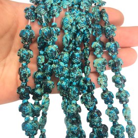 Resim Turkuaz Havlit Kaplumbağ-Turkuaz Mix 