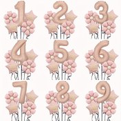 Resim 5 adet Pembe Alüminyum Film Dijital Doğum Günü Balonları Açık Pembe Doğum Günü Balonları Mat Papatya Balonları Yıldönümü Doğum Günü Düğün Noel Parti Dekorasyonu için Uygun 