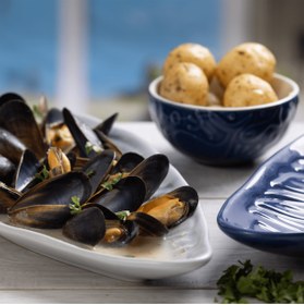 Resim Mason Cash M.Cash Nautical Büyük Boy Deniz Kabuğu Serisi Tabak 