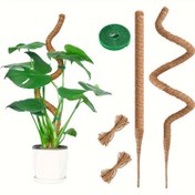 Resim 5 adet 60/120cm Tırmanma Sarmalı Braketi Kombinasyonu, DIY Stil Tırmanma Çerçevesi, Bükülebilir Stil, İç ve Dış Mekan Bitki Desteği 