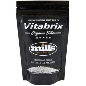 Resim Vitabrix Organic Silica 300 Gr 
