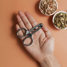 Resim Paslanmaz Çelik Ceviz ve Tohum Seçici - Güneş Çiçeği Tohumları, Badem, Pikan Cevizleri ve Daha Fazlası İçin Mükemmel 