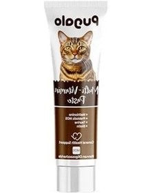 Resim 100 Ml Kedi Multi Vitamin Macunu, Prebiotik Ve Biotin İçerir 
