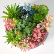 Resim 12 Adet Canlı Renkli Yapay Sukulent & Kaktüs Karışımı Gri Saksıda - DIY Ev Dekoru için Gerçekçi Mini Sahte Bitkiler, Aeonium, Chihuahua, Echeveria ve Daha Fazlasını İçerir - Noel Süslemesi, Kaktüs Dekoru için Mükemmel 