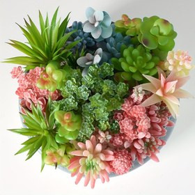 Resim 12 Adet Canlı Renkli Yapay Sukulent & Kaktüs Karışımı Gri Saksıda - DIY Ev Dekoru için Gerçekçi Mini Sahte Bitkiler, Aeonium, Chihuahua, Echeveria ve Daha Fazlasını İçerir - Noel Süslemesi, Kaktüs Dekoru için Mükemmel 