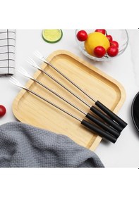 Resim Wondernest Set, Pp Saplı Paslanmaz Çelik Çikolata Çatalları 12'li Paket - Dayanıklı Ve Şık 