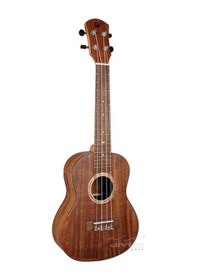 Resim Watson Concert Ukulele Taşıma Çantası 