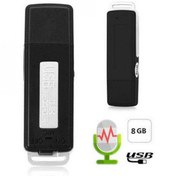 Resim Ses Kayıt Özellikli Usb Bellek 8 Gb Ses Kayıt Özellikli Usb Bellek 8 Gb